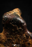 05000 - Agoudal Imilchil Iron IIAB Meteorite <1g Collector Grade