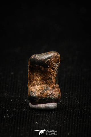05001 - Agoudal Imilchil Iron IIAB Meteorite <1g Collector Grade