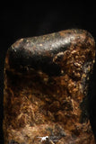 05001 - Agoudal Imilchil Iron IIAB Meteorite <1g Collector Grade