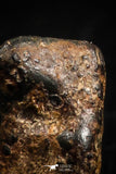 05001 - Agoudal Imilchil Iron IIAB Meteorite <1g Collector Grade