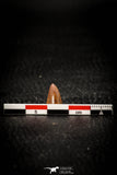08105 - Well Preserved 0.56 Inch Hamadasuchus rebouli Crocodile Tooth Cretaceous KemKem
