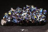 20091 - Beautiful 3.36 Inch Titanium Quartz Rainbow Aura Iridescent Crystals