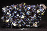 20091 - Beautiful 3.36 Inch Titanium Quartz Rainbow Aura Iridescent Crystals