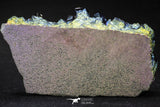 20091 - Beautiful 3.36 Inch Titanium Quartz Rainbow Aura Iridescent Crystals