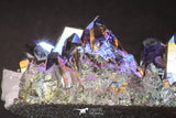 20091 - Beautiful 3.36 Inch Titanium Quartz Rainbow Aura Iridescent Crystals