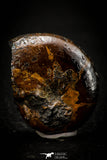 05513 - Well Preserved Pyritized 1.34 Inch Goniatite Devonian Cephalopod
