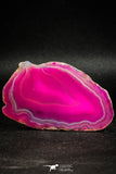 05075 -  Extremely Beautiful 2.91 Inch Brazilian Agate Slice (Chalcedony Geode Section)