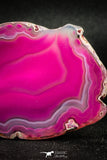 05075 -  Extremely Beautiful 2.91 Inch Brazilian Agate Slice (Chalcedony Geode Section)