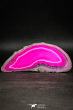 05076 -  Extremely Beautiful 3.90 Inch Brazilian Agate Slice (Chalcedony Geode Section)