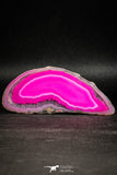 05076 -  Extremely Beautiful 3.90 Inch Brazilian Agate Slice (Chalcedony Geode Section)