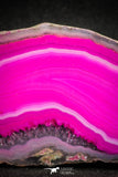 05076 -  Extremely Beautiful 3.90 Inch Brazilian Agate Slice (Chalcedony Geode Section)