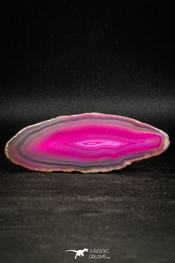 05080 -  Extremely Beautiful 3.66 Inch Brazilian Agate Slice (Chalcedony Geode Section)
