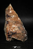 05084 - Beautiful Red Vanadinite Crystals Cluster from Mibladen Mining District, Midelt Province, Morocco