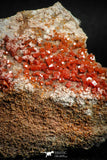 05084 - Beautiful Red Vanadinite Crystals Cluster from Mibladen Mining District, Midelt Province, Morocco