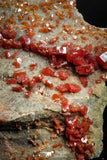 05085 - Beautiful Red Vanadinite Crystals Cluster from Mibladen Mining District, Midelt Province, Morocco