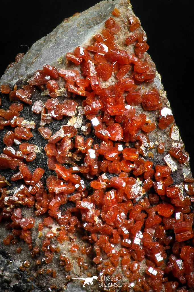 05087 - Beautiful Red Vanadinite Crystals Cluster from Mibladen Mining District, Midelt Province, Morocco