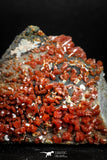05087 - Beautiful Red Vanadinite Crystals Cluster from Mibladen Mining District, Midelt Province, Morocco
