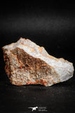 05088 - Beautiful Red Vanadinite Crystals Cluster from Mibladen Mining District, Midelt Province, Morocco