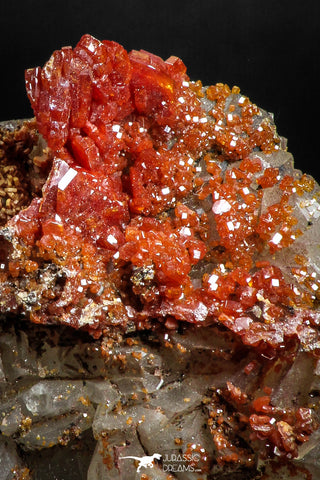 05090 - Beautiful Red Vanadinite Crystals Cluster from Mibladen Mining District, Midelt Province, Morocco