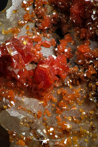 05091 - Beautiful Red Vanadinite Crystals Cluster from Mibladen Mining District, Midelt Province, Morocco