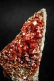 05092 - Beautiful Red Vanadinite Crystals Cluster from Mibladen Mining District, Midelt Province, Morocco