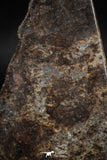 05103 - Nice Polished Section NWA Unclassified L-H Type Ordinary Chondrite Meteorite 44g