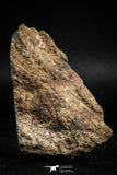 05103 - Nice Polished Section NWA Unclassified L-H Type Ordinary Chondrite Meteorite 44g