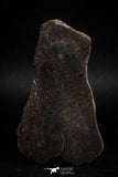 05104 - Beautiful Polished Section NWA Unclassified L-H Type Ordinary Chondrite Meteorite 36.0g