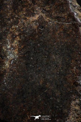 05105 - Beautiful Polished Section NWA Unclassified L-H Type Ordinary Chondrite Meteorite 22.0g
