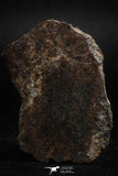 05105 - Beautiful Polished Section NWA Unclassified L-H Type Ordinary Chondrite Meteorite 22.0g