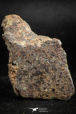 05106 - Nice Polished Section NWA Unclassified L-H Type Ordinary Chondrite Meteorite 24.0g