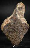 05106 - Nice Polished Section NWA Unclassified L-H Type Ordinary Chondrite Meteorite 24.0g