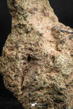 05106 - Nice Polished Section NWA Unclassified L-H Type Ordinary Chondrite Meteorite 24.0g