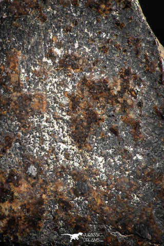 05107 - Beautiful Polished Section NWA Unclassified L-H Type Ordinary Chondrite Meteorite 24.0g