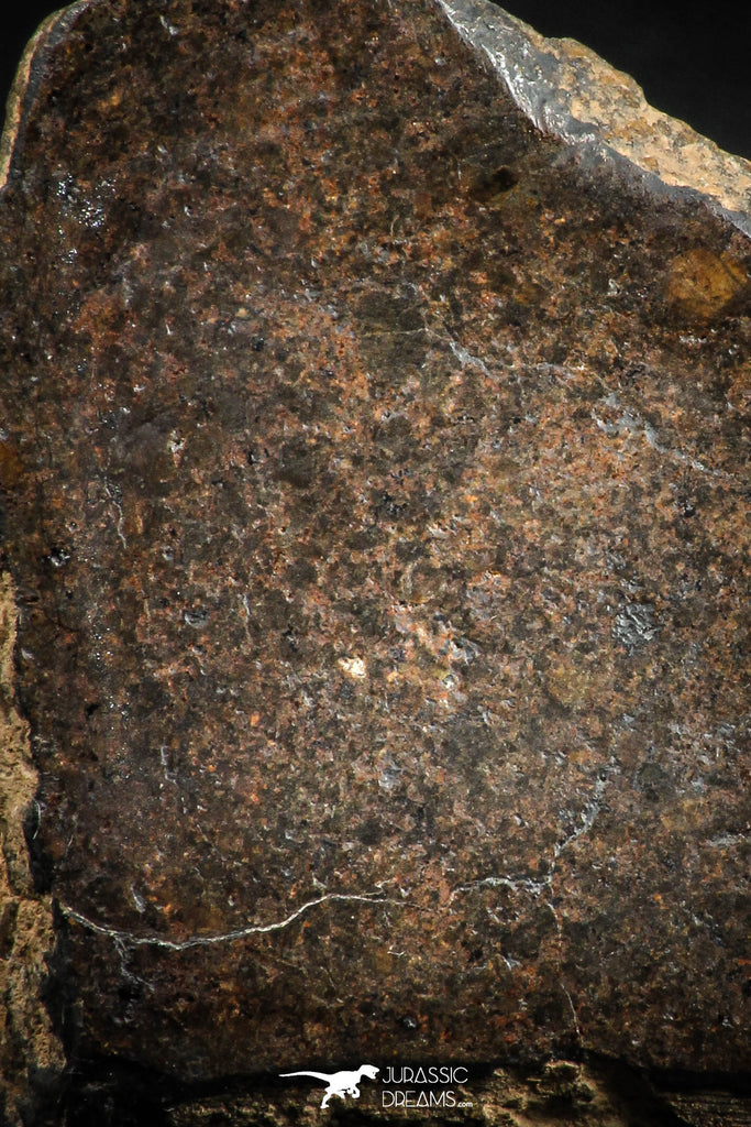 05108 - Beautiful Polished Section NWA Unclassified L-H Type Ordinary Chondrite Meteorite 44.0g