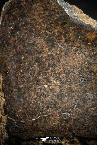 05108 - Beautiful Polished Section NWA Unclassified L-H Type Ordinary Chondrite Meteorite 44.0g