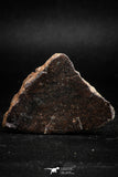 05109 - Beautiful Polished Section NWA Unclassified L-H Type Ordinary Chondrite Meteorite 23.0g