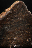 05109 - Beautiful Polished Section NWA Unclassified L-H Type Ordinary Chondrite Meteorite 23.0g