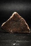 05109 - Beautiful Polished Section NWA Unclassified L-H Type Ordinary Chondrite Meteorite 23.0g