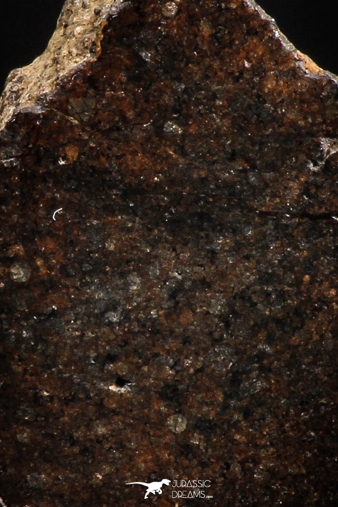 05109 - Beautiful Polished Section NWA Unclassified L-H Type Ordinary Chondrite Meteorite 23.0g