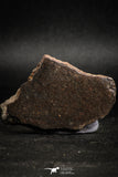 05110 - Beautiful Polished Section NWA Unclassified L-H Type Ordinary Chondrite Meteorite 35.0g