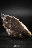 05111 - Beautiful Polished Section NWA Unclassified L-H Type Ordinary Chondrite Meteorite 27.0g