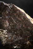 05111 - Beautiful Polished Section NWA Unclassified L-H Type Ordinary Chondrite Meteorite 27.0g