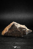05111 - Beautiful Polished Section NWA Unclassified L-H Type Ordinary Chondrite Meteorite 27.0g