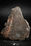 05112 - Beautiful Polished Section NWA Unclassified L-H Type Ordinary Chondrite Meteorite 13.0g