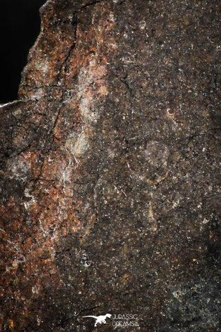 05112 - Beautiful Polished Section NWA Unclassified L-H Type Ordinary Chondrite Meteorite 13.0g