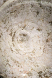 05131 - Top Huge 2.36 Inch Otodus obliquus Shark Vertebra Bone Paleocene
