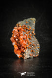 88509 -  Beautiful Red Vanadinite Crystals on Natural Manganese-Iron Oxide Matrix from Morocco