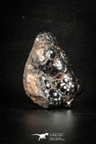 88516 - Dark Gray Bubbly Botryoidal 2.04 Inch Goethite from South Morocco