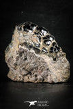 88517 - Dark Gray Bubbly Botryoidal 2.48 Inch Goethite from South Morocco